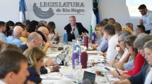 Imagen de Buena recaudación propia de Río Negro de enero, con el empuje de pagos anuales