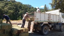 Imagen de Incendio en El Bolsón: se quemaron más de 1.000 hectáreas productivas y asisten a los productores