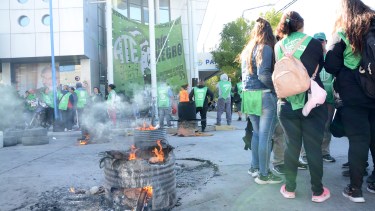 PAMI, Anses y otros: quiénes adhieren al paro de ATE en Río Negro y Neuquén