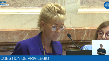 Silvina García Larraburu contra el gobierno de Javier Milei. Foto: captura video. 