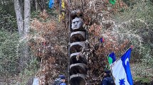Imagen de Controversia en Villa Mascardi: Parques Nacionales pide retirar el rewe mapuche