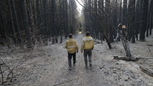 ¡Qué alivio!: El incendio en El Bolsón está extinto, tras dos meses de combate contra el fuego