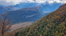 Imagen de Un estudio advierte sobre el futuro de las lengas en la Patagonia con el aumento de la temperatura