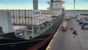 Fruticultura: bajó la exportación de peras en el puerto de San Antonio Este, pero hay alternativas