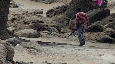 Con un rifle y a los tiros, intentó cosechar piñones: fuerte denuncia en Primeros Pinos