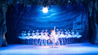 Imagen El lago de los cisnes – Ballet Clásico y Contemporáneo FCP
