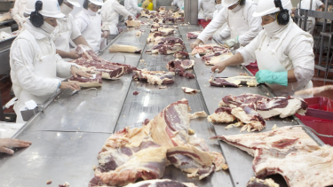 El gobierno de Javier Milei levantó la barrera sanitaria para el ingreso de carne en la Patagonia.