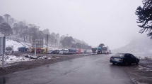 Imagen de 60 camiones varados en Pino Hachado: el cruce a Chile está cerrado este domingo por el temporal de nieve