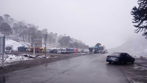 60 camiones varados en Pino Hachado: el cruce a Chile está cerrado este domingo por el temporal de nieve