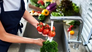 Nuevo curso de manipulación de alimentos en Plottier: cómo inscribirte