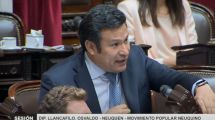 Imagen de Llancafilo afirmó su apoyo al DNU por el FMI, pero anticipó que si sale mal será culpa «de quien gobierna»
