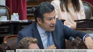 Llancafilo afirmó su apoyo al DNU por el FMI, pero anticipó que si sale mal será culpa «de quien gobierna»
