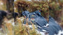 Imagen de Crianceros del norte neuquino complicados por la nieve: hallaron a un abuelo bajo un nylon junto a su nieto