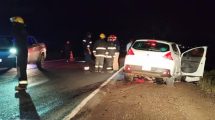 Imagen de Chocó contra un caballo en la Ruta 151, cerca de Catriel: ¿qué pasó con los ocupantes del auto y el animal?