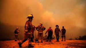 Humo en el sur de Neuquén por los incendios forestales en Chile: alerta roja en varias comunas de La Araucanía y Biobío