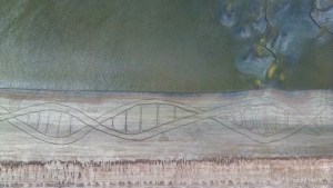 Hicieron el dibujo en la playa más largo del mundo en San Antonio: van por el Récord Guinness