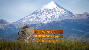 Vientos fuertes en Neuquén: alerta por posible caída de ramas, árboles y piedras en el Parque Lanín