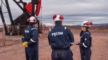 Imagen de Tras iniciar la operación en áreas maduras de Chubut, Pecom repuntó los resultados anuales