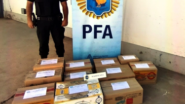Allanaron una vivienda en Roca: secuestraron plantas de marihuana y una persona quedó detenida