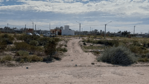 Encontraron un cuerpo en San Antonio Oeste: dos detenidos y una autopsia clave para la investigación