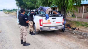 Los detuvieron con un arma, municiones y una insólita pasajera en la camioneta, cerca de Regina