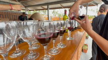 Imagen de Vinos artesanales cerca del mar: una propuesta imperdible en San Antonio Oeste
