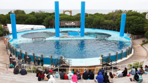 Último día de Aquarium de Mar del Plata por el cierre definitivo: qué pasará con los animales