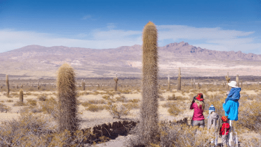 Semana Santa 2025 en Salta: turismo religioso y tradición andina para vivir la pascua
