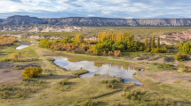 Imagen de Roca, Villa La Angostura y Lago Puelo, entre los destinos más hospitalarios de la Patagonia