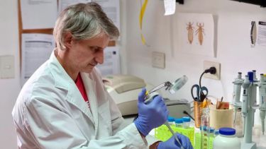 Toloza es investigación independiente del Conicet y doctor en Ciencias de la Biología de la UBA. (FOTO: Gentileza Agencia CTyS-UNLAM)