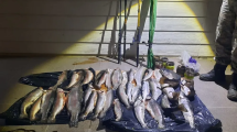 Imagen de Secuestraron truchas por pesca ilegal y una chiva faenada en Neuquén: multan a cazadores furtivos