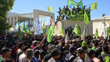 Video | Pirotecnia en la Legislatura y muerte de una perrita en Neuquén: «Las bombas daban realmente miedo»