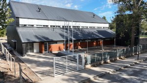 Nuevo salón para actividad física en Neuquén: dónde queda, qué se puede hacer y cuáles serán los próximos