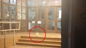 «Entramos todos o la próxima explota»: la preocupante amenaza con una granada en la sede de Unión