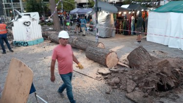 El viento tiró un pino arriba de los artesanos en Neuquén: un herido y varias calles estuvieron cortadas