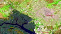 Imagen de Impactante antes y después de Bahía Blanca: desde el espacio, cómo se ve la ciudad tras el temporal