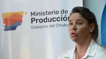 Imagen de Barrera sanitaria: Chubut presentará un amparo y advierten sobre “el riesgo sanitario”