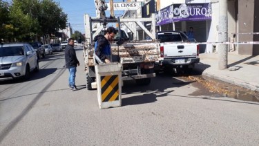 El viento se hizo sentir en Centenario: caídas de árboles y semáforos afectados por fuertes ráfagas