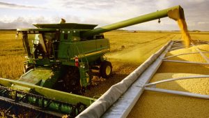 Con reservas en rojo, cuántos dólares aportará el campo en 2025: la estimación de un economista agrario