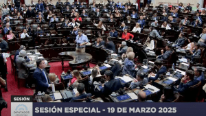 La débil oposición del sur