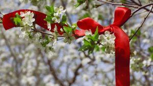 Qué significado tiene poner una cinta roja en las plantas durante el Eclipse Solar
