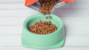Cuál es el mejor lugar para guardar el alimento de tu perro, según veterinarios expertos