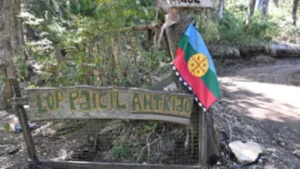 Conflicto de tierras en Villa La Angostura: tras un dictamen, mapuches confían en evitar desalojos