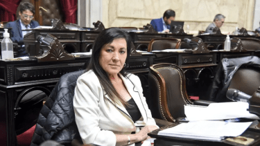 "El nuevo Régimen Penal Juvenil es una prioridad para ponerle fin a la impunidad", afirmó la diputada cordobesa del PRO, Laura Rodríguez Machado.
