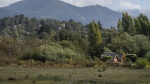 Piden al municipio que intervenga para frenar obras sobre un mallín en Bariloche