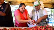 Imagen de Feria de Frutas Finas en Neuquén: «Vinimos más preparados, pero se agotó rapidísimo»