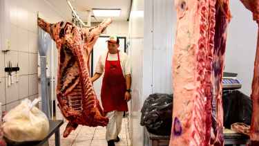 Por qué la barrera sanitaria no permitía el ingreso de carne con hueso a la Patagonia. Fotos: Ceci Maletti