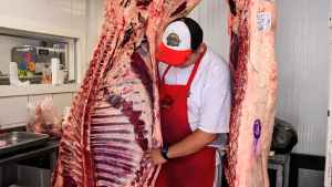 ¿Los cambios en la barrera sanitaria impactarán en el precio de la carne? Los valores de los cortes más populares en Neuquén