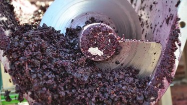 Transforman residuos de bodegas y jugueras para reutilizarlos en alimentos y colorantes saludables