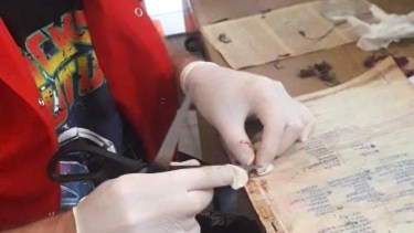 “Nunca sentí un olor así”: rescatan libros afectados por el temporal de Bahía Blanca